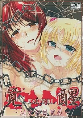 覚醒 ～M女の目覚め～